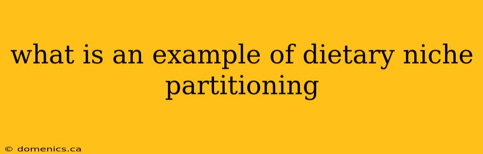 what is an example of dietary niche partitioning