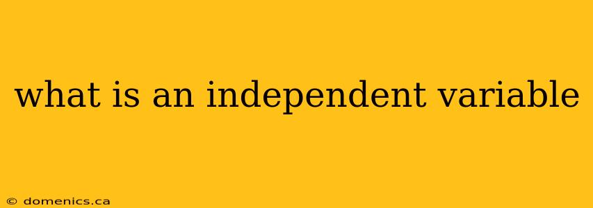 what is an independent variable