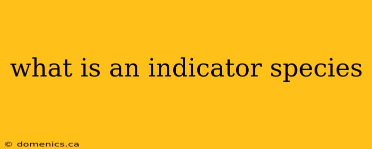 what is an indicator species