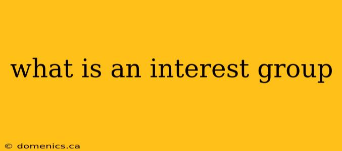 what is an interest group