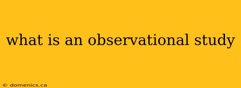 what is an observational study