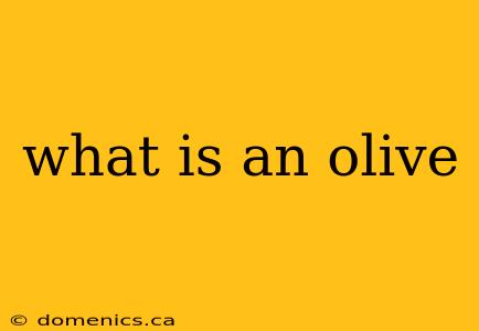 what is an olive