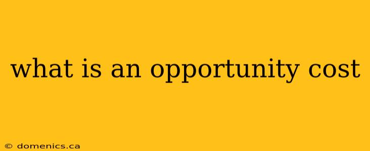 what is an opportunity cost