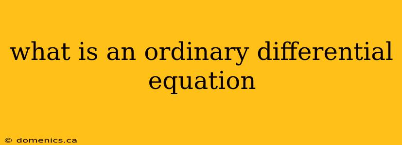 what is an ordinary differential equation