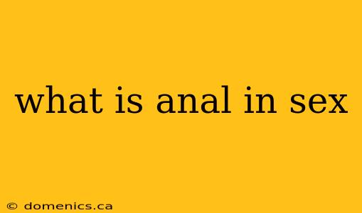 what is anal in sex