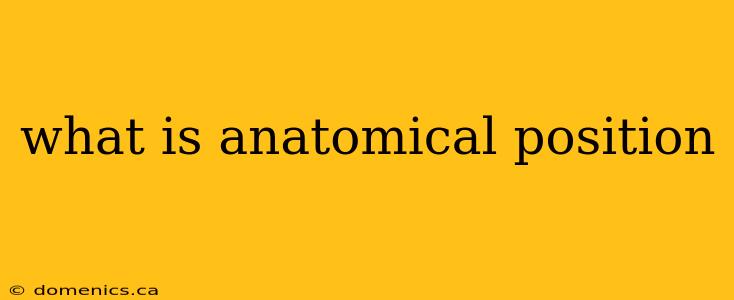 what is anatomical position