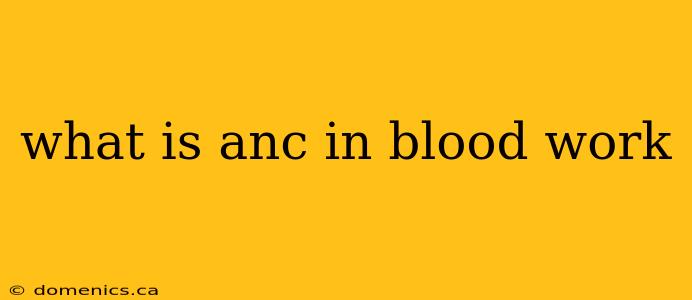 what is anc in blood work