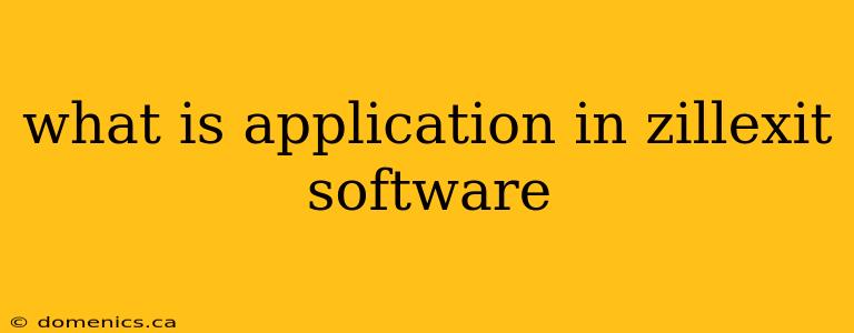 what is application in zillexit software