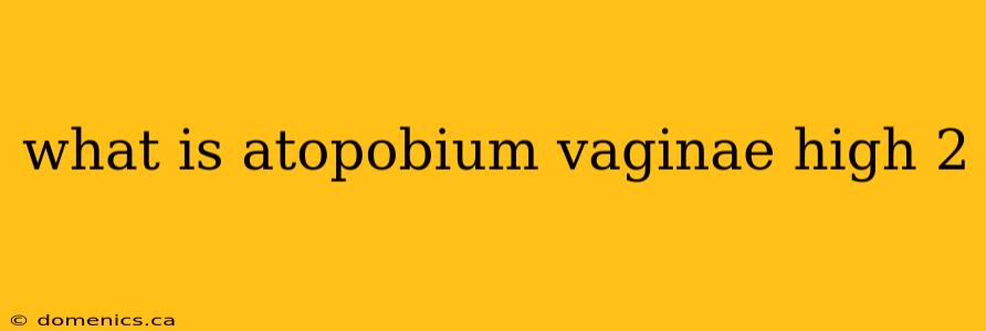 what is atopobium vaginae high 2