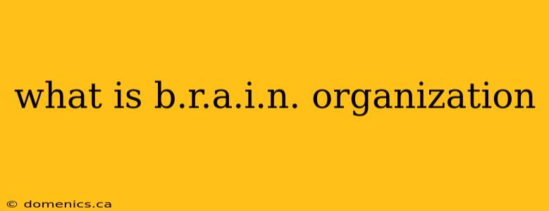 what is b.r.a.i.n. organization