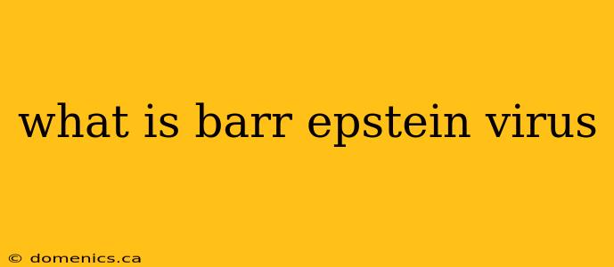 what is barr epstein virus