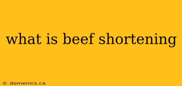 what is beef shortening