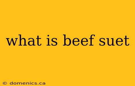 what is beef suet