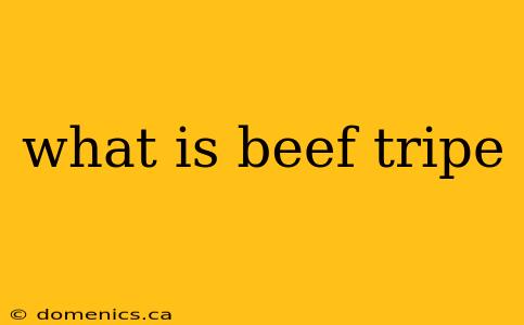 what is beef tripe