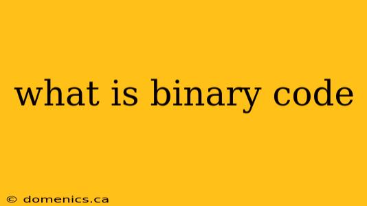 what is binary code