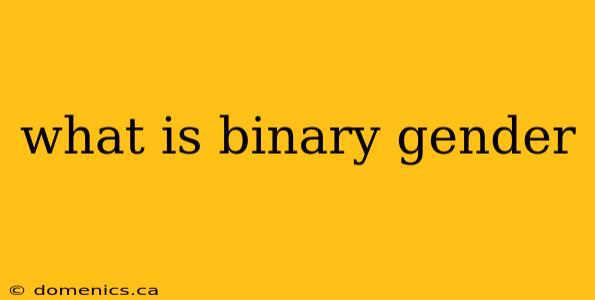 what is binary gender