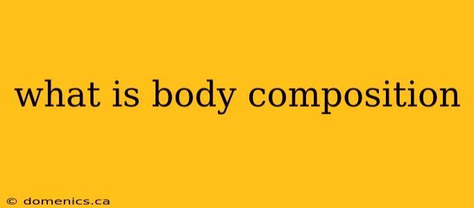 what is body composition