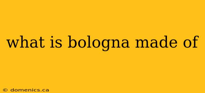 what is bologna made of