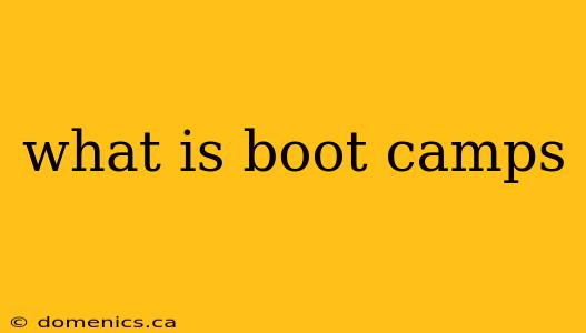 what is boot camps