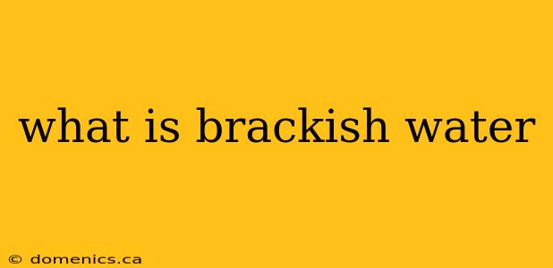 what is brackish water