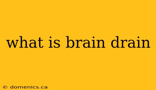 what is brain drain