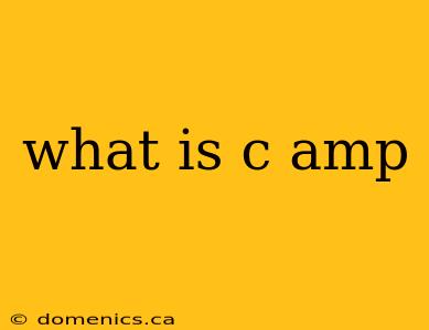 what is c amp