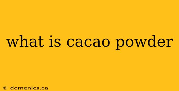 what is cacao powder