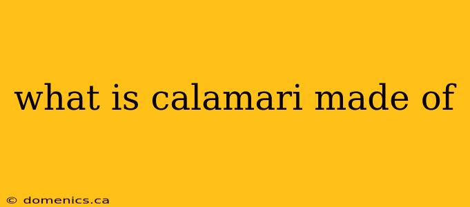 what is calamari made of