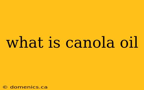 what is canola oil