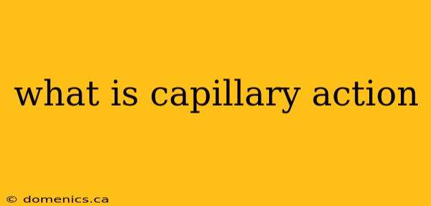 what is capillary action