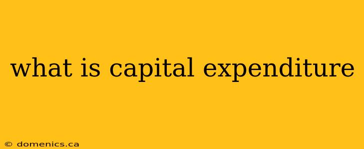 what is capital expenditure