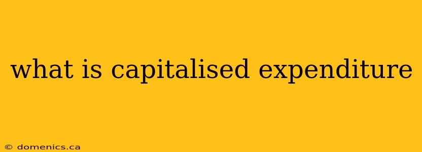 what is capitalised expenditure