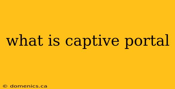 what is captive portal