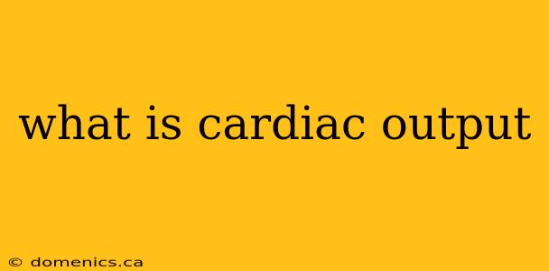 what is cardiac output