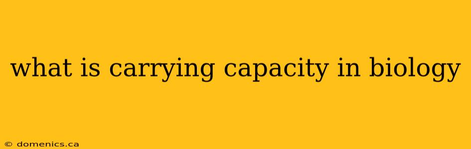 what is carrying capacity in biology