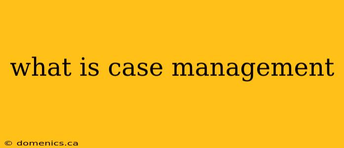 what is case management