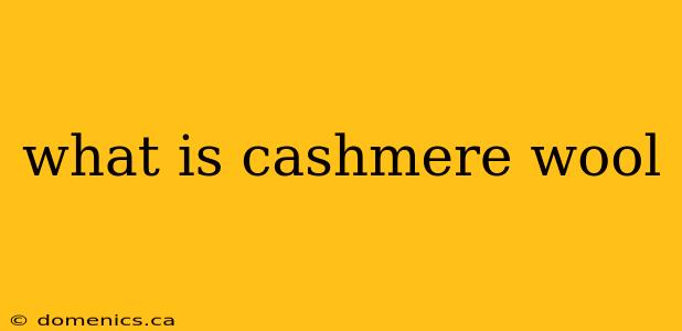 what is cashmere wool