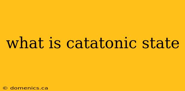 what is catatonic state