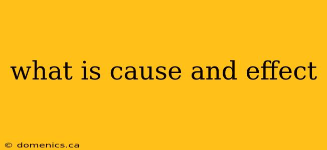 what is cause and effect