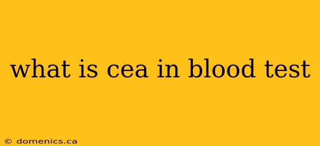 what is cea in blood test