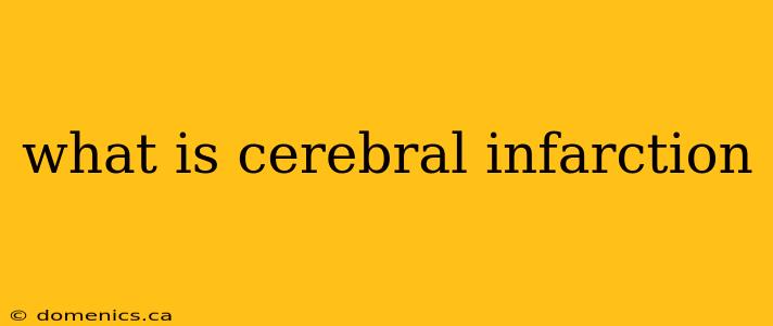 what is cerebral infarction