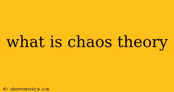 what is chaos theory