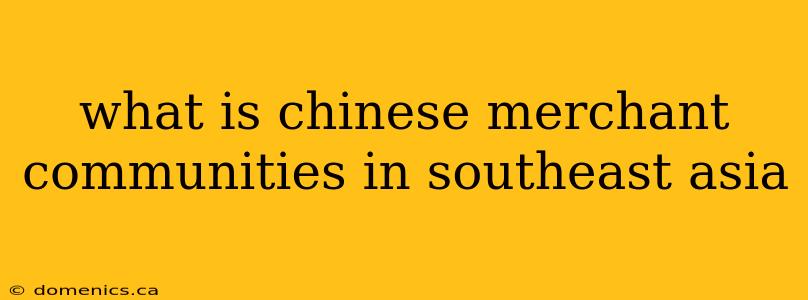 what is chinese merchant communities in southeast asia