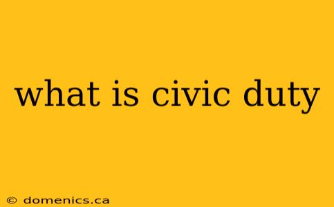 what is civic duty