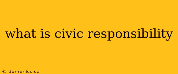 what is civic responsibility