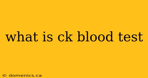 what is ck blood test