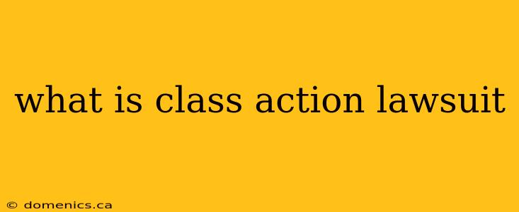 what is class action lawsuit