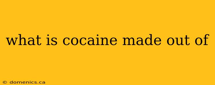 what is cocaine made out of