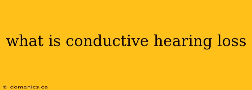 what is conductive hearing loss