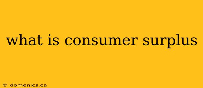 what is consumer surplus